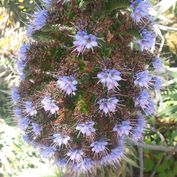 An adventure many years in the making. - Picture 3 of 10